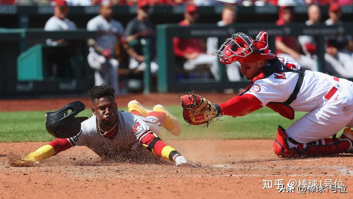 棒球训练装备全套展示